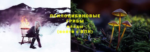 spice Белоозёрский