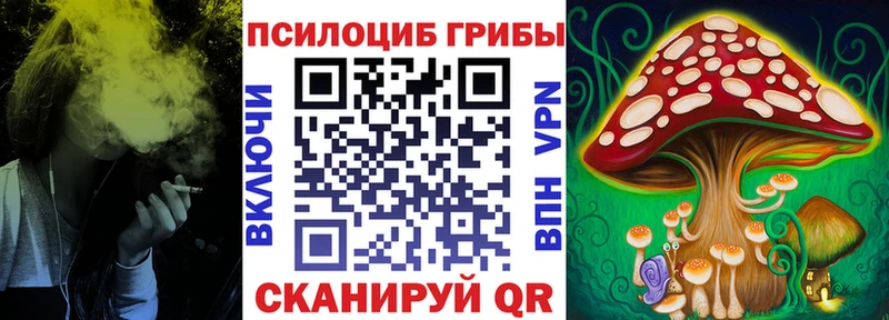 Галлюциногенные грибы мухоморы  купить   Гатчина 