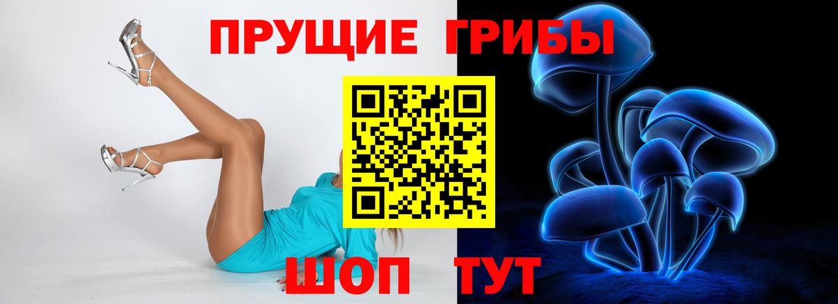 Галлюциногенные грибы Psilocybine cubensis  Вход с VPN  Галлюциногенные грибы мицелий  Гатчина 